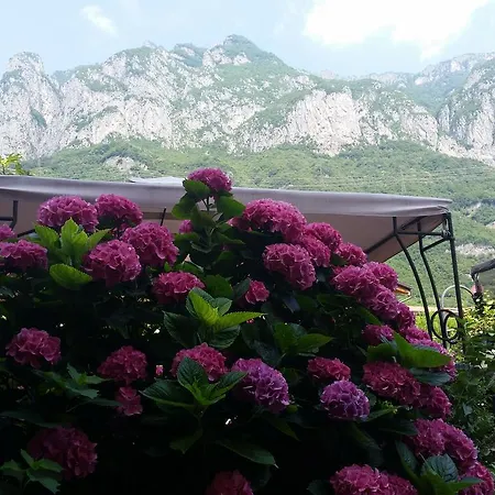 Modonesi Boario Terme
